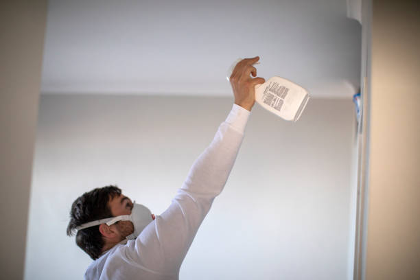 Best Mold Testing  in Lumbine Valley, CO