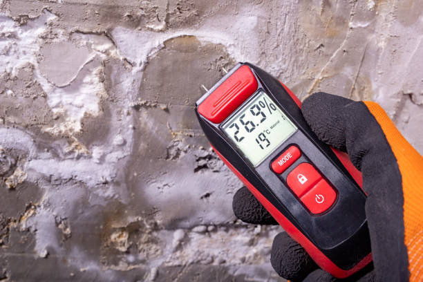 Best Emergency Mold Removal  in Lumbine Valley, CO
